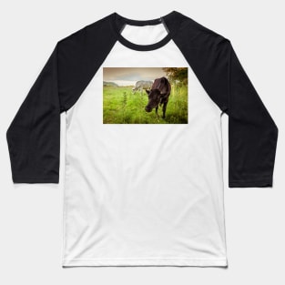 Hill Farming Baseball T-Shirt